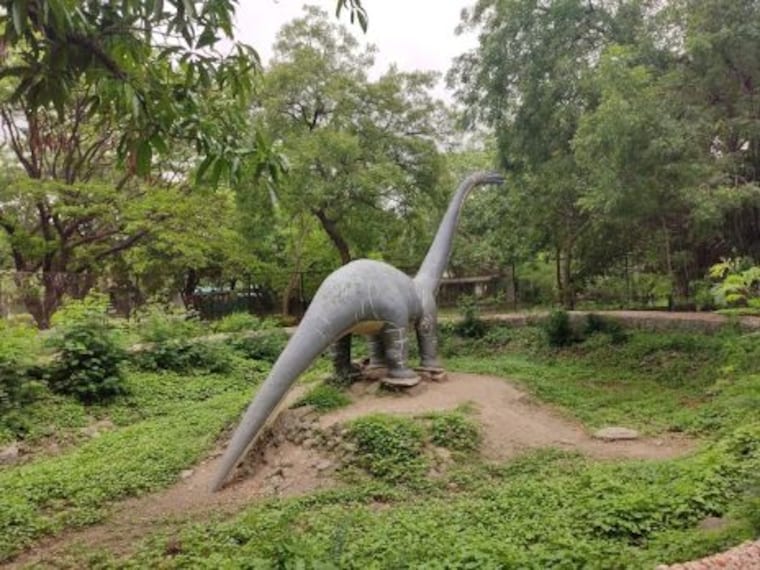 Sakkarbaug Zoological Garden-4